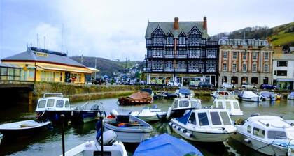 SEAHORSE DARTMOUTH DEVON