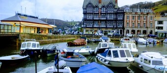 Seahorse central Dartmouth Town