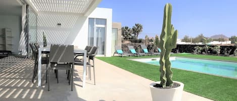 A modern outdoor patio with a pool, a cactus in a planter, and lounge chairs.
