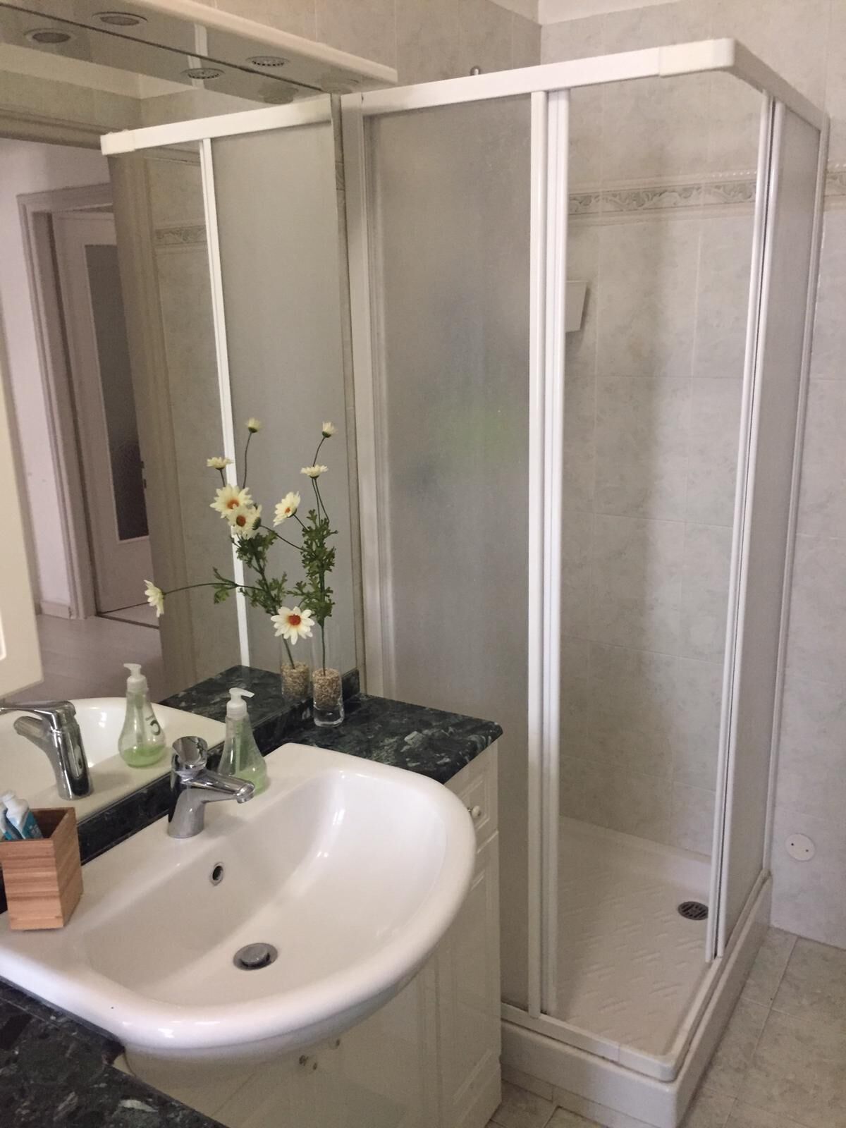 Asciugacapelli, asciugamani, sapone, shampoo