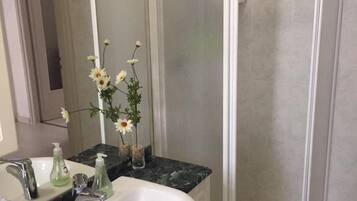 Asciugacapelli, asciugamani, sapone, shampoo