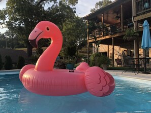 Pool - New Listing  - Paradise in the Shoals (Muscle Shoals)