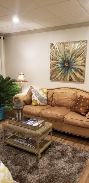 Fernseher, Stereoanlage