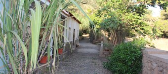 Apartamento Laranjinha