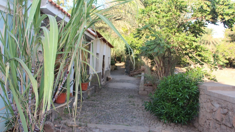 Apartamento Laranjinha
