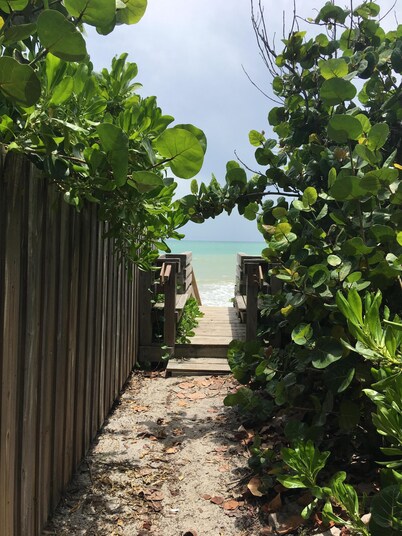 LOWERED FALL RATES! 5 star 5 bed home + pool + tropic setting + 1 block to beach