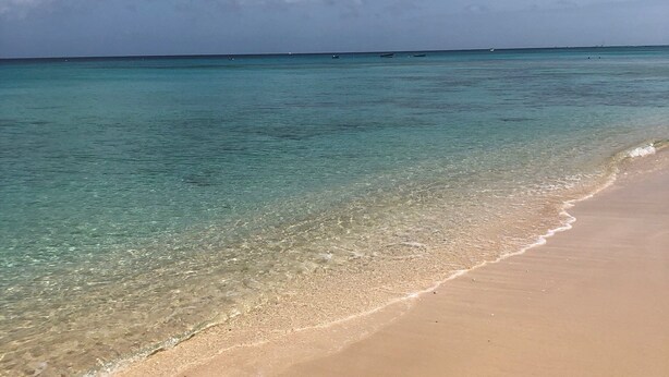 A beach with clear turquoise water and a sandy shore. - 'Palm View', West Coast 3 bd/3.5br villa with Private Pool walk to beach/bars  (St James)