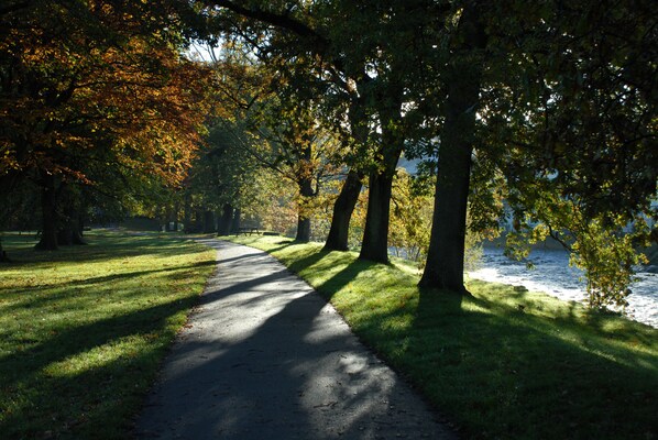 A paved path through a park with trees and a body of water in the background.