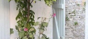 Charming house near the vineyard.