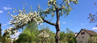 Guntli’s Family Guesthouse: Entire top floor, own bath - rural within city range