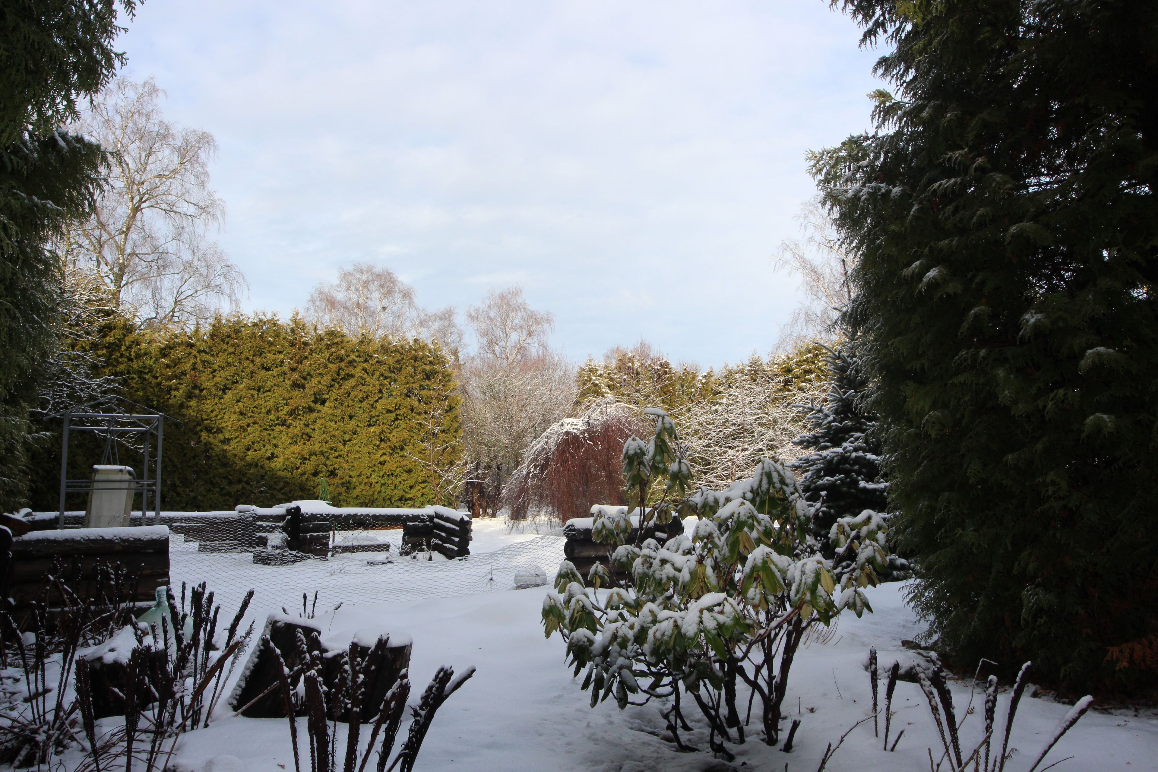 A snowy garden with a wooden bench, a snow-covered tree, and a metal fence.