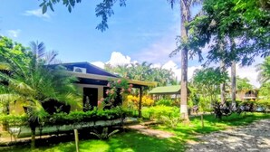A modern house with a covered porch, surrounded by lush greenery and palm trees. - Explore Paradise-Palma Real cottage (Liberia)