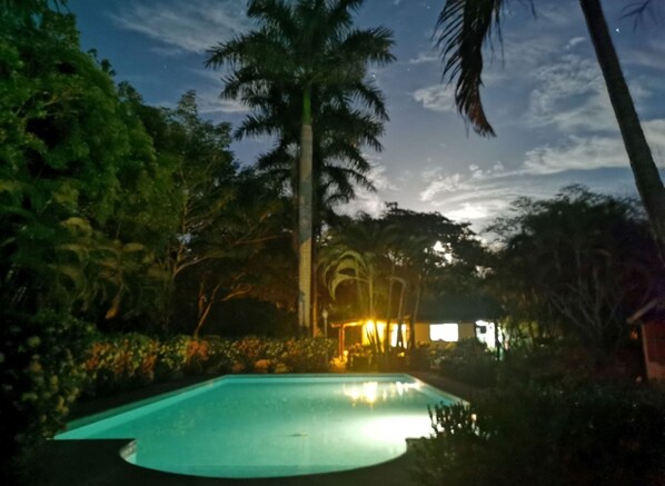 A swimming pool surrounded by lush greenery and palm trees, with a building in the background.