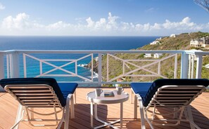 Property grounds - Ballena Blue: Panoramic Views! New Pool! (St. John)