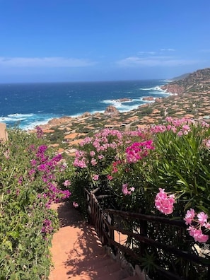 Enjoy breathtaking ocean views from the terrace, surrounded by vibrant flowers and a rustic wooden railing.