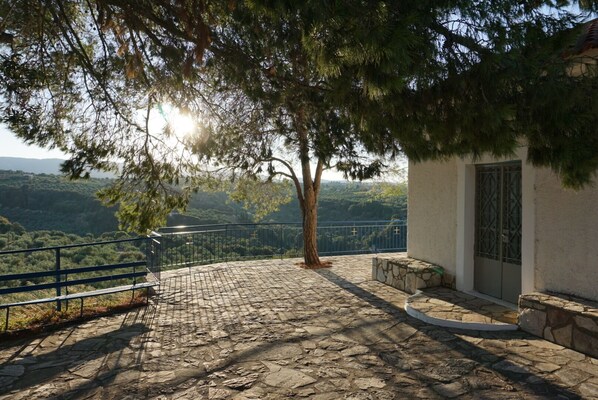 A stone-paved patio with a metal railing, a tree, and a building with a gate.