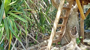 Una estructura de madera con un corte en forma de corazón en el tronco, rodeada de frondosa vegetación verde.