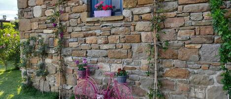 A stone building with a window, a pink bicycle, and potted plants.