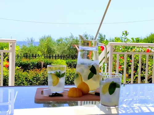 An apartment between the olive trees and the sea