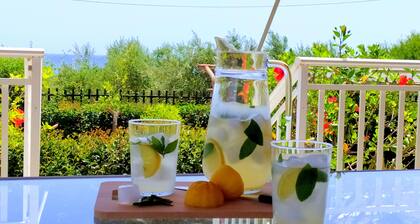 An apartment between the olive trees and the sea