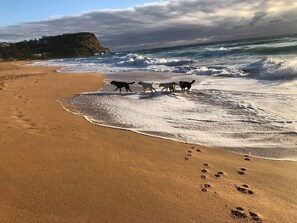 På stranden og solsenger