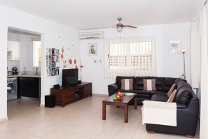 电视、DVD 播放器、书