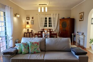 TV connectée, cheminée, lecteur de DVD, livres