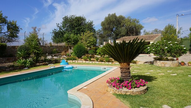 A swimming pool with a stone border, surrounded by a well-maintained lawn and various plants. - Casa das Rosas, a peaceful stress-free villa to relax (Santa Bárbara de Nexe)