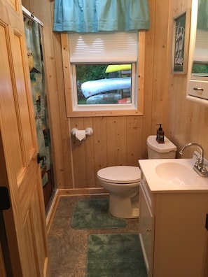 Shower, towels, toilet paper