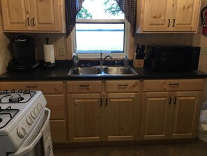 Fridge, microwave, oven, stovetop - Cozy Up North cabin on beautiful Lake Waukenabo (Palisade)