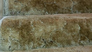 A set of carpeted stairs leading to a room with a white door and a window with blinds.
