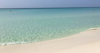 1-bedroom condo steps to Miramar Beach