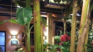 Un exuberante jardín interior con hojas verdes grandes y flores rojas, rodeado por una estructura de madera.
