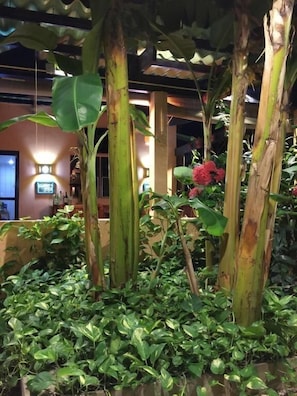 Exterior - Caribbean Cozy Cove (Paradera)