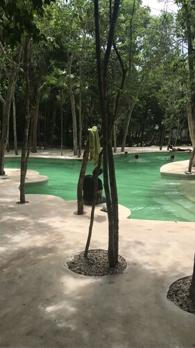 Residential Alborada