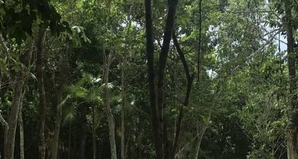 Residential Alborada