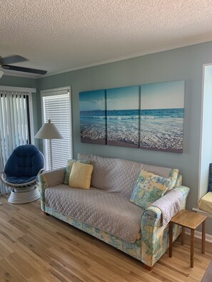 Smart TV, DVD player, video library, stereo