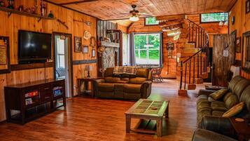 Smart TV, fireplace, books