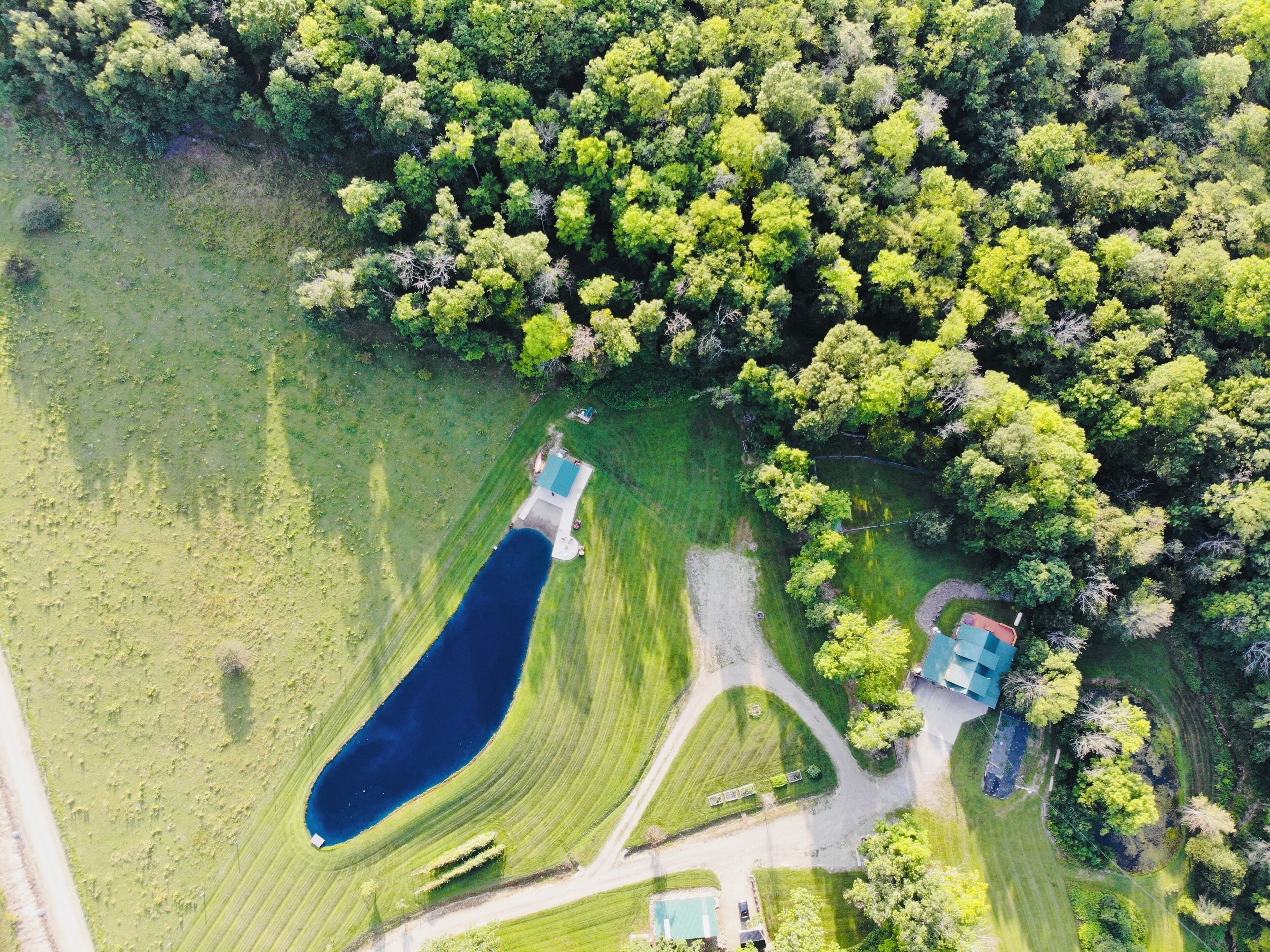 A Slice of Paradise!- Rustic meets Modern -Swim🏖️-Kayak🛶- Pet 🐶& Family Friendly