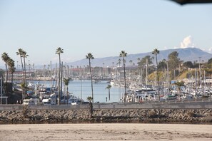 A marina with boats, palm trees, and a mountain in the background.