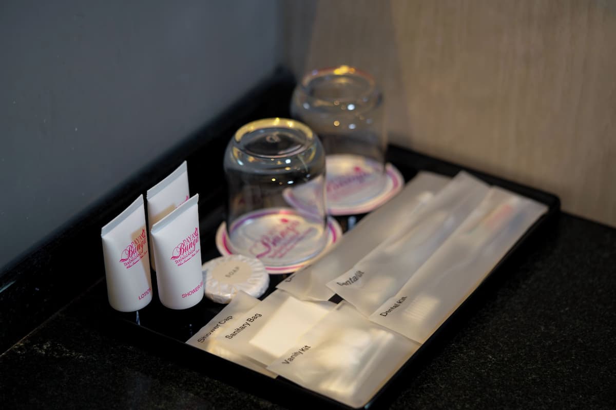 room, 2 single beds (super deluxe) | bathroom | shower, rainfall showerhead, free toiletries, hair dryer