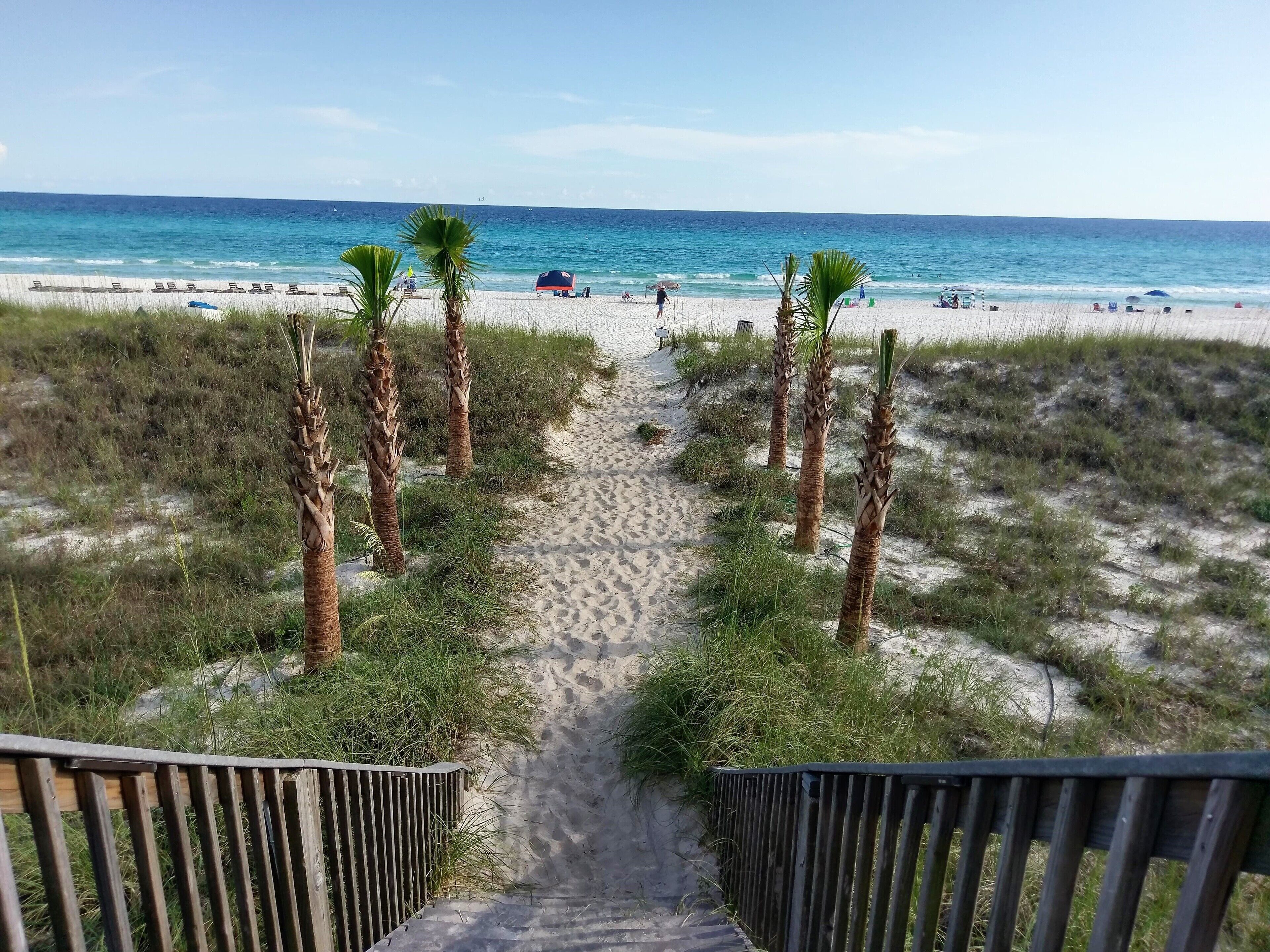 靠近海滩、沙滩椅