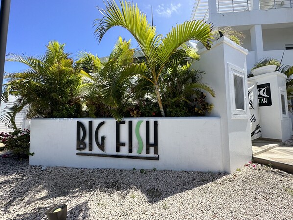 Une pancarte avec les mots « BIG FISH » (GROS POISSON), placée dans un grand pot blanc orné de palmiers.