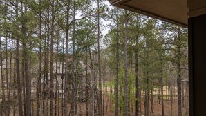 A forested area with tall trees and a building in the background.