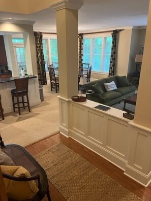 TV, fireplace, DVD player, books