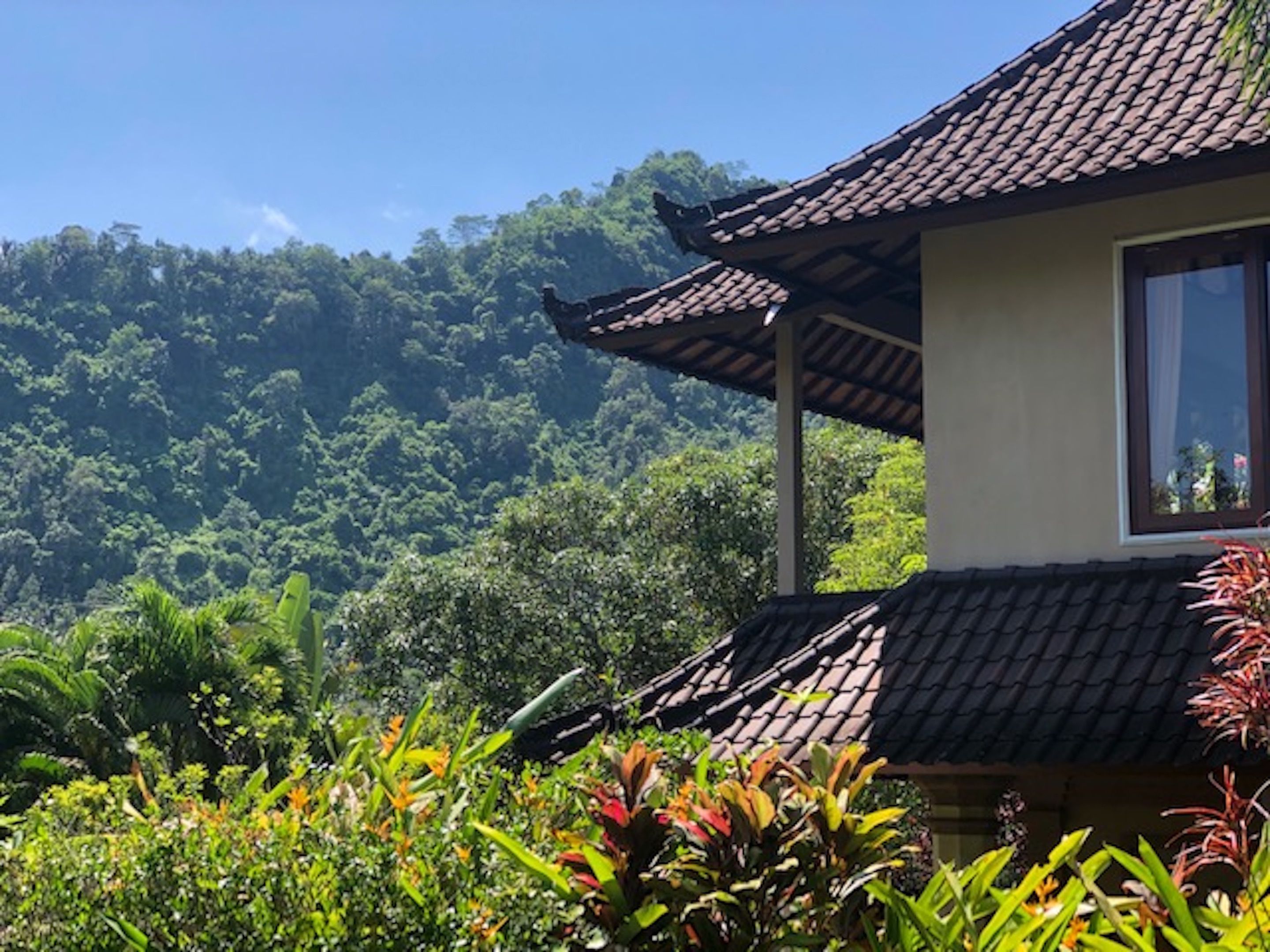 Twin Room | View from room