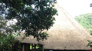 Una casa con techo de paja, ventanas grandes y una pared de piedra.