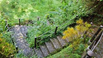 Una escalera de piedra rodeada de abundante vegetación que conduce a un nivel superior.