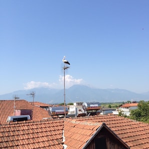 View from room
