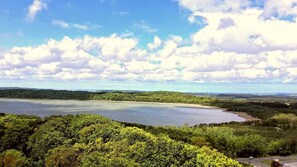 Unclassified image, 4 of 22, button